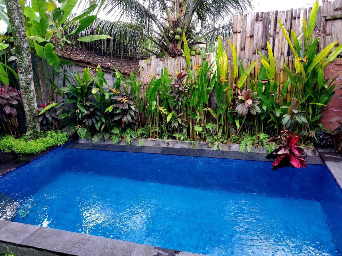 Kakau Villa 2 - Ubud Buitenkant foto